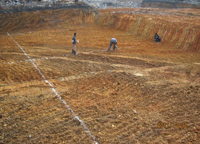 杭州沥青拌和厂退役场地污染土壤修复工程(重金属类代表项目)